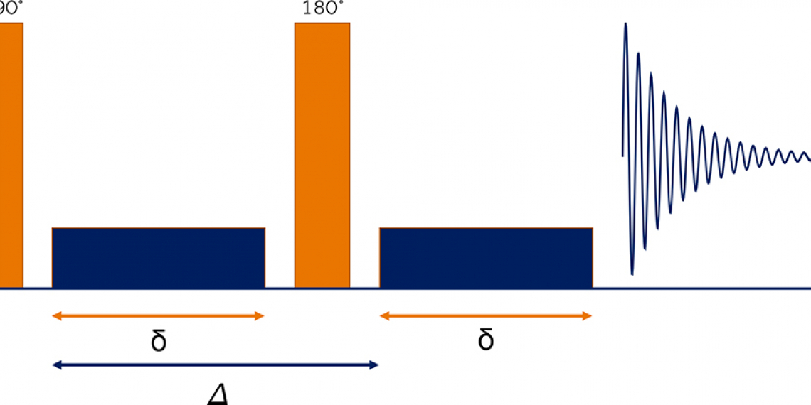Pulse sequence diagram of the PFGSE experiment. Rectangular hard pulses are shown in orange, and pulsed field gradients are in blue. Δ is the diffusion delay, while δ denotes the duration of the gradient pulses.