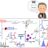 Diagram of the analysis procedure